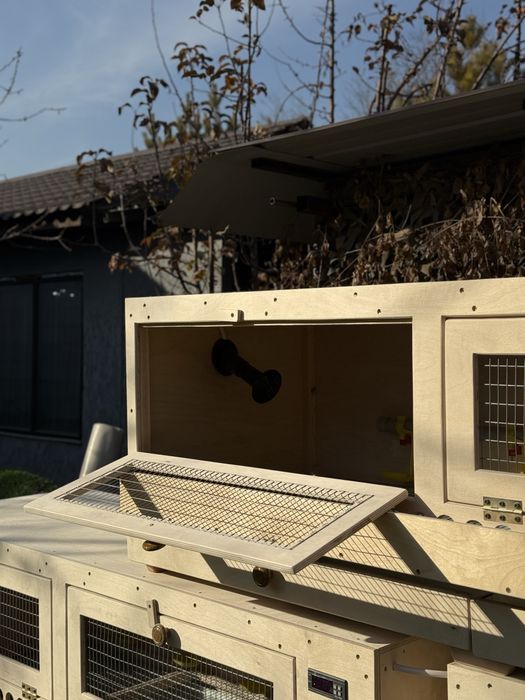 Брудеры для выращивания цыплят