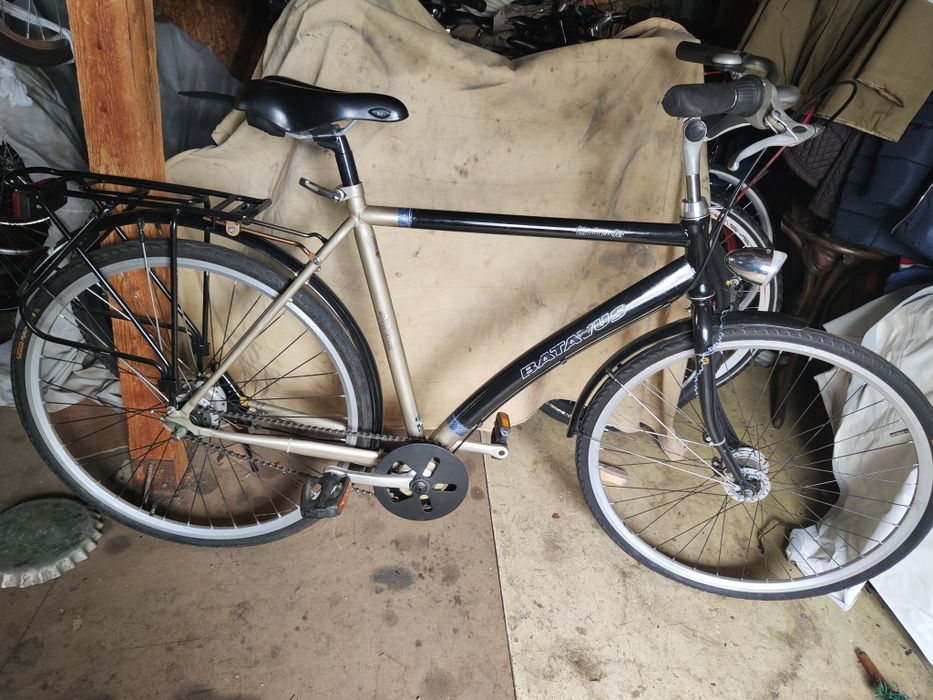 Biciclete Olanda