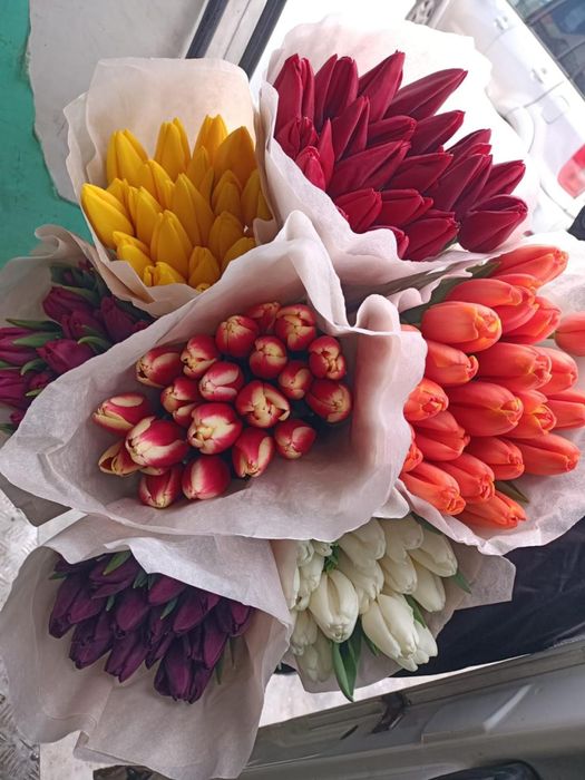 Тюльпаны Петропавловск оптом и розница