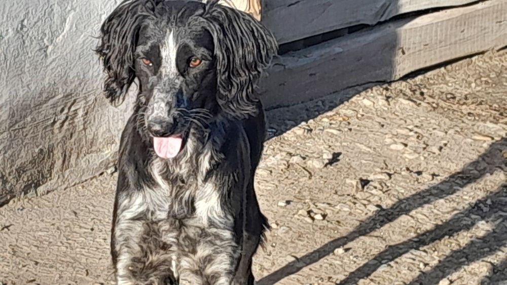 Продам тазы кабеля .Рабочий