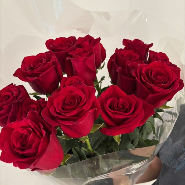 эквадорские длинностебельные розы