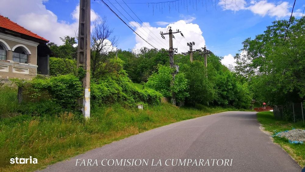 Teren 19.822 Mp, Cadru Natural Minunat