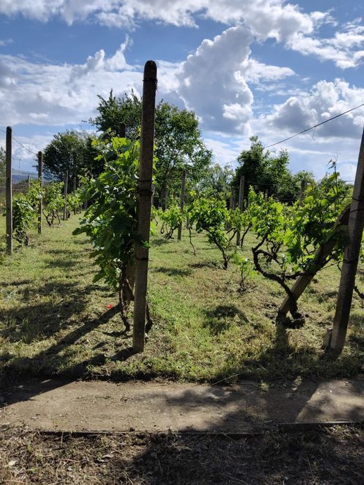 Продава се Къща в Разград, Варош - 600 кв.м за 64 €/кв.м - Снимка #3