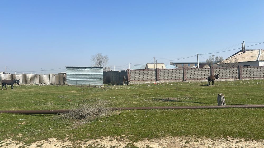 Жер шубарсудан сатылады