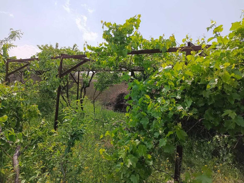 Ховли уй сотилади - Миндонободда курилиши тугалланмаган уй сотилади