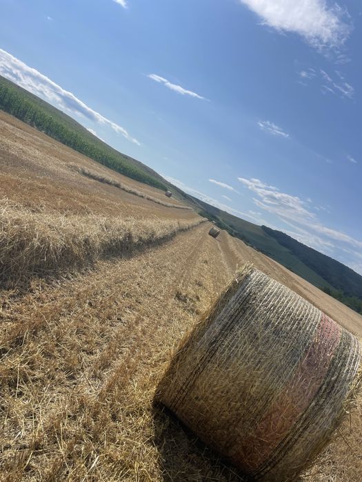 Baloti de paie de vannzare