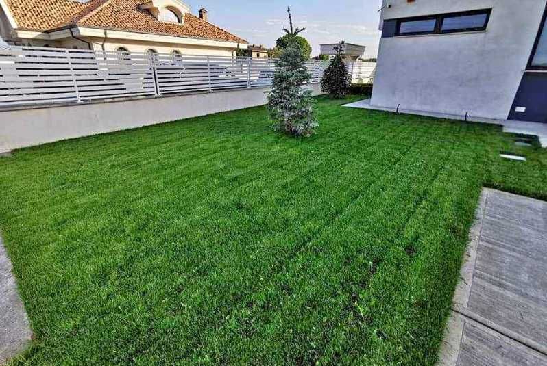 Gazon Rulou Si Insamantare