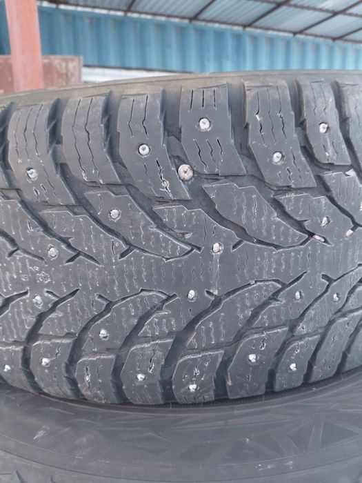 Продам шины комплек