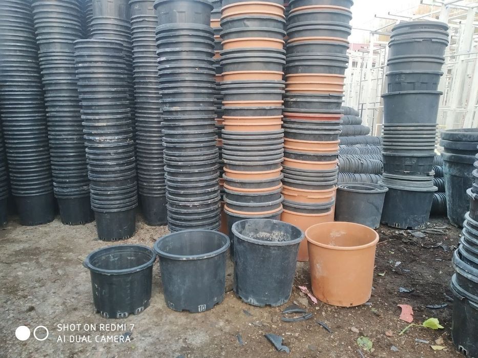 Tuvaklar optom B/U holati yaxshi