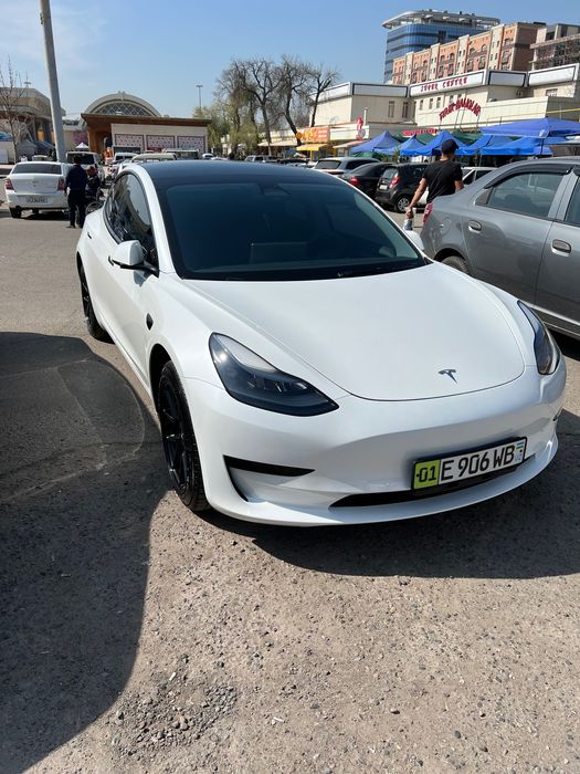 Model 3 standard plus