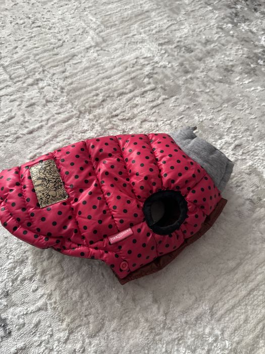 Жилет доя собак