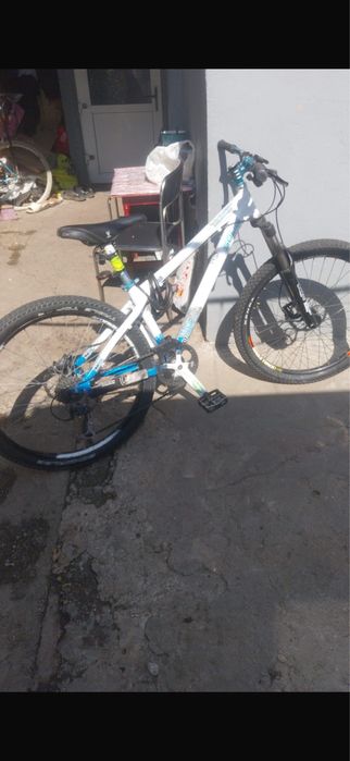 Solid Harlem 4X Custom Build