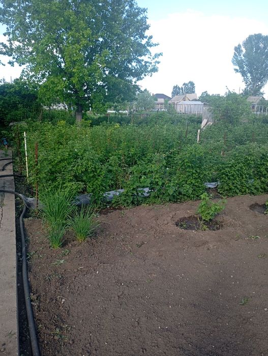 Продам дачу район саздинского водохранилища.