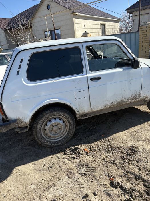 Нива сатылады  2016 ж карайтын жери бар саудасы бар