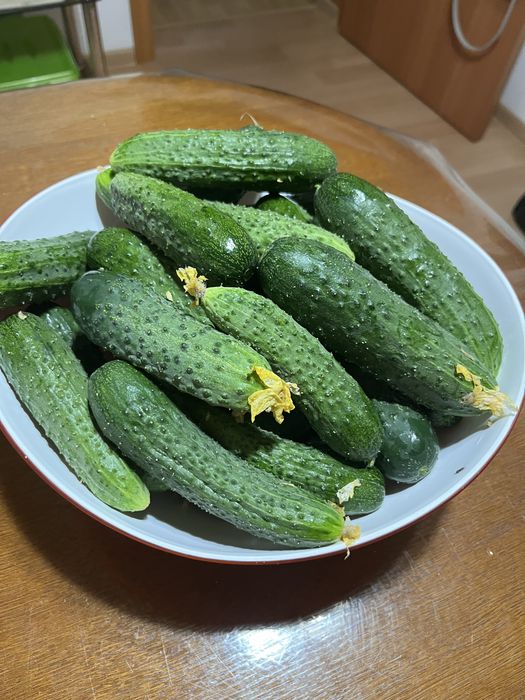 Продам огурцы домашние