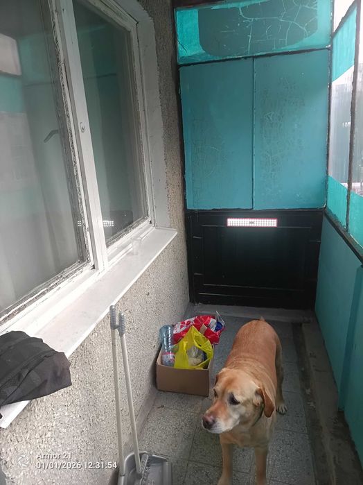 Давам гарсониера под наем Люлин3