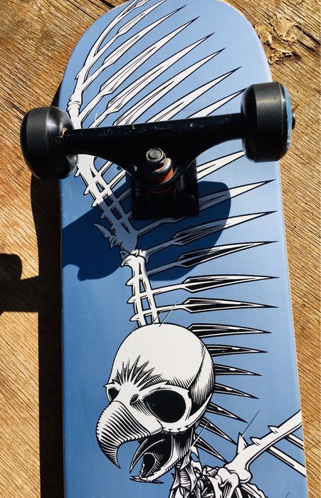 Tony Hawk - Bird house - Оригинал …