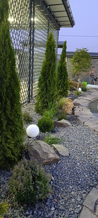 Обработка.Садовый доктор