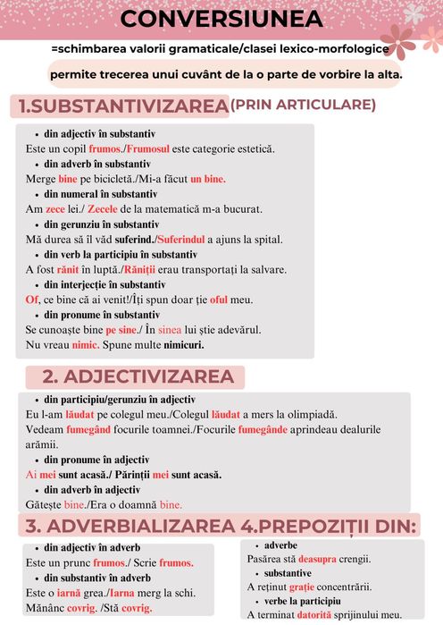 Ofer meditații limba și literatura română