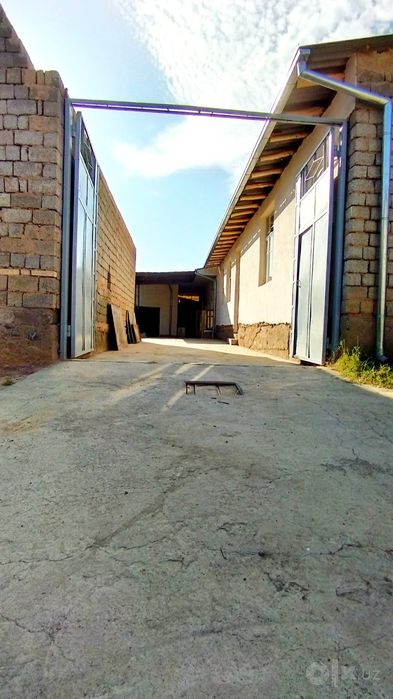 Bek baraka sex arenda