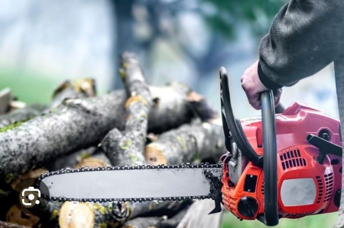 Спил, обрезка деревьев! Спиливание.