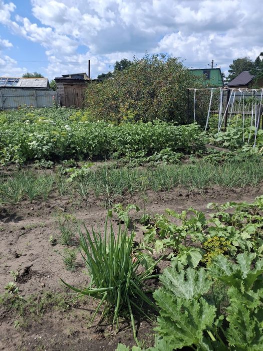 Продам дачу 3,8 соток