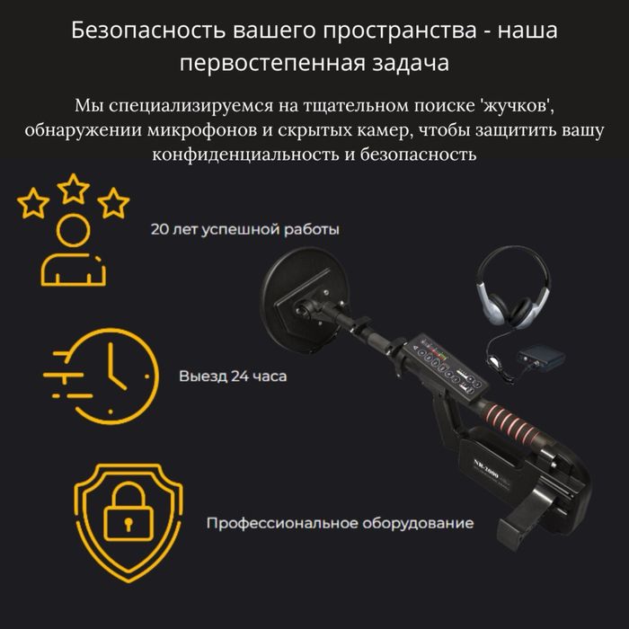 Профессиональный поиск жучков