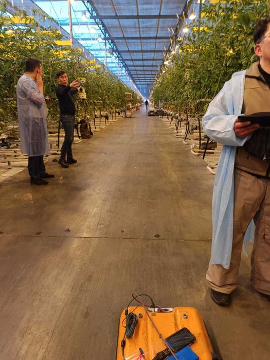 Георадарное обследование (исследование)