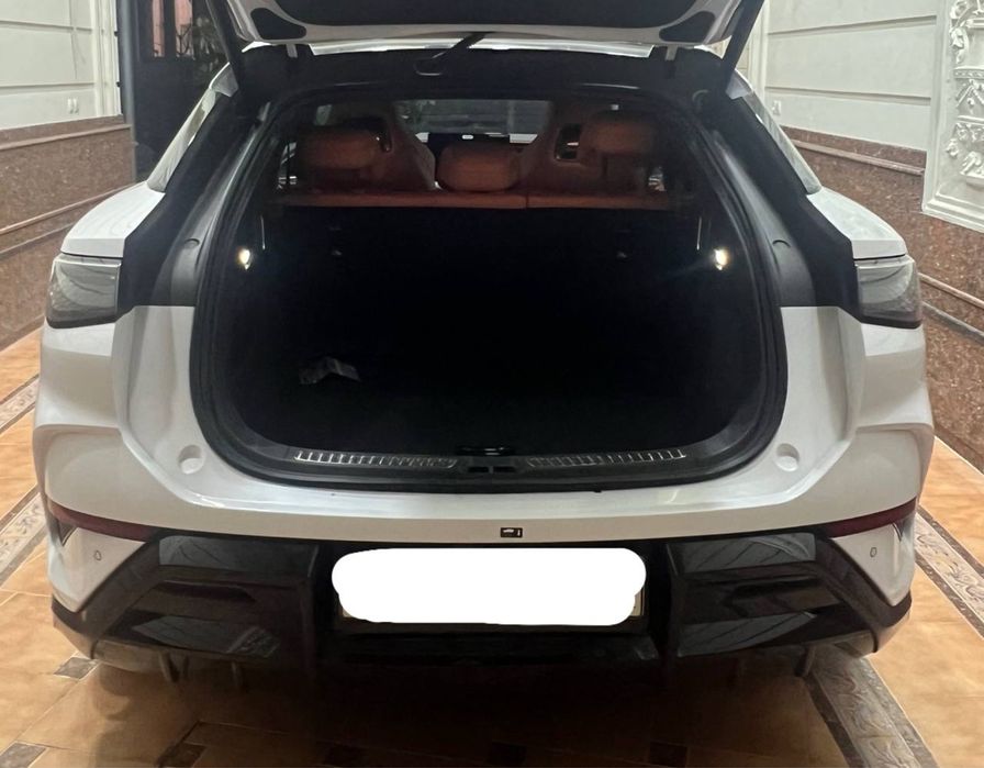 Byd Sea Lion 07 Full