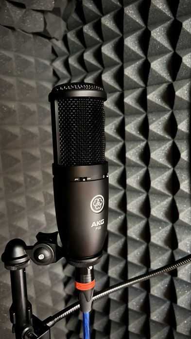 Mikrafon AKG P120