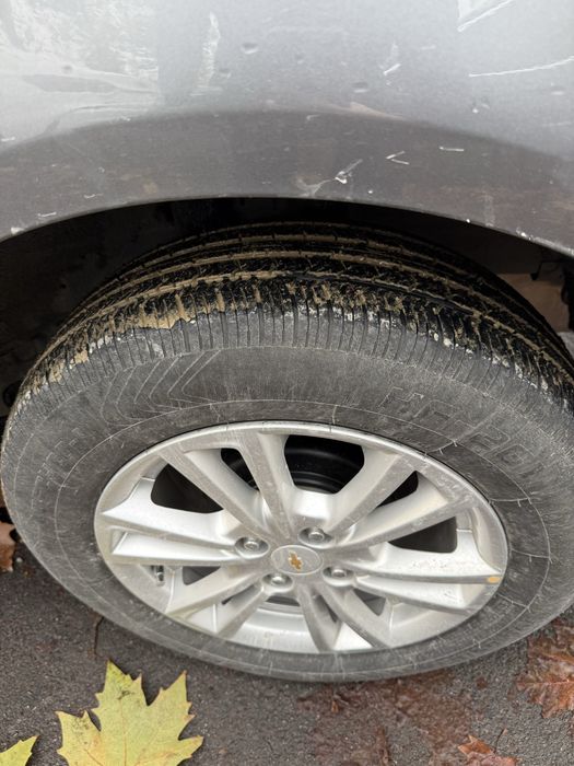 Кобалт родной 2020