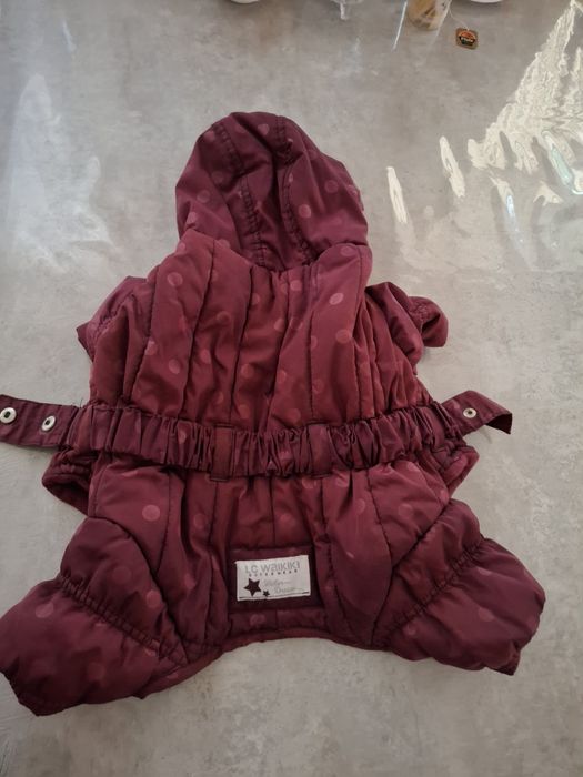 Продам недорого вещи для собак