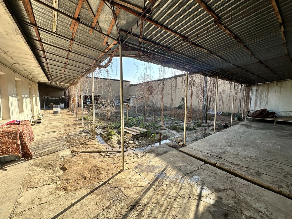 Участка срочно сотилади 8 соток