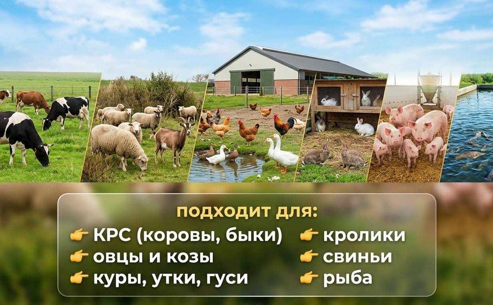 продажа грануляторов с завода! рассрочка или кредит! доставка по КЗ!