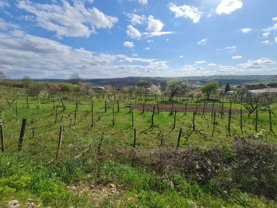 Vand/Schimb/Rate Teren intravilan ,construibil ,casa - Paleu - Oradea