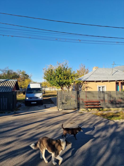 Vind casa scortaru nou in centru