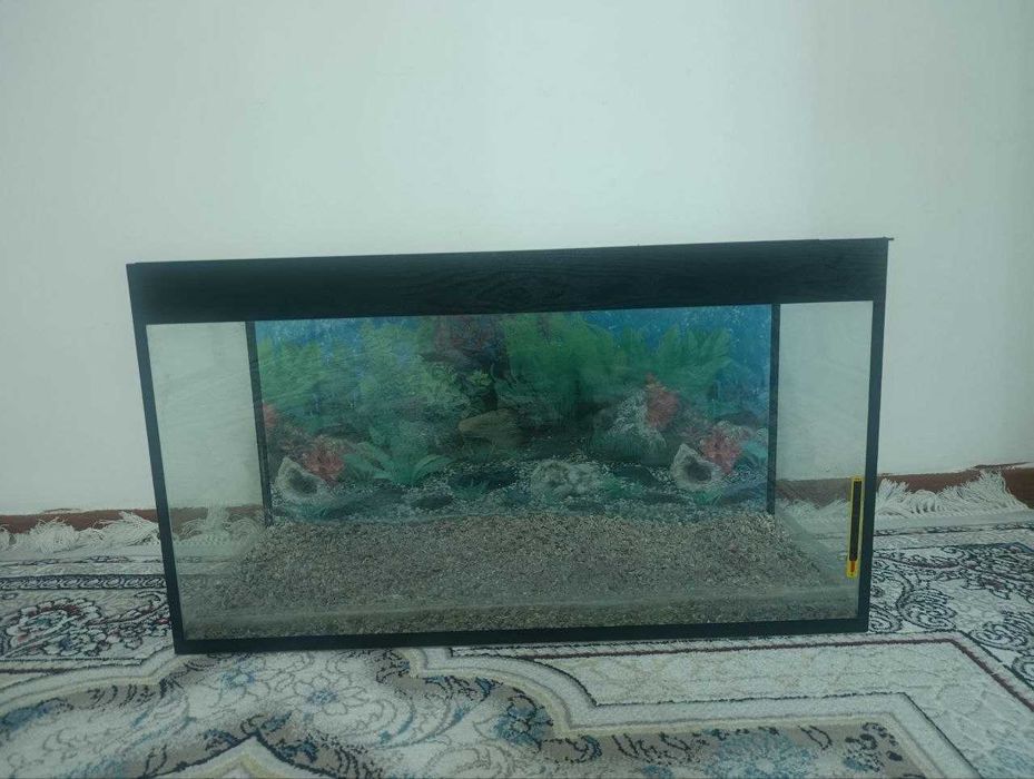 Baliq boquvchilar uchun Akvarium