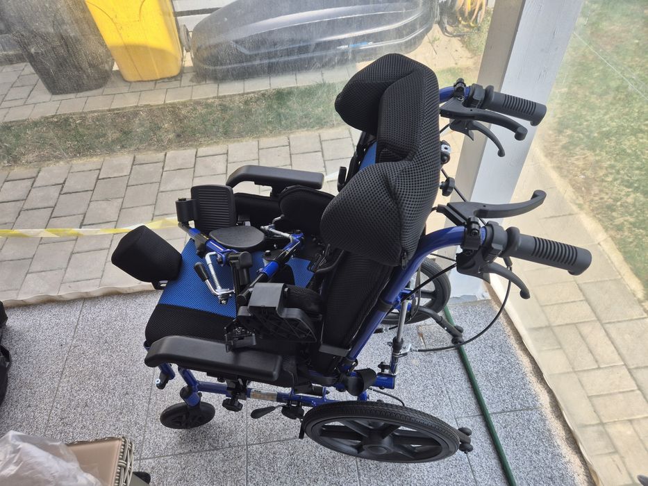 Carut copii cu dizabilitati