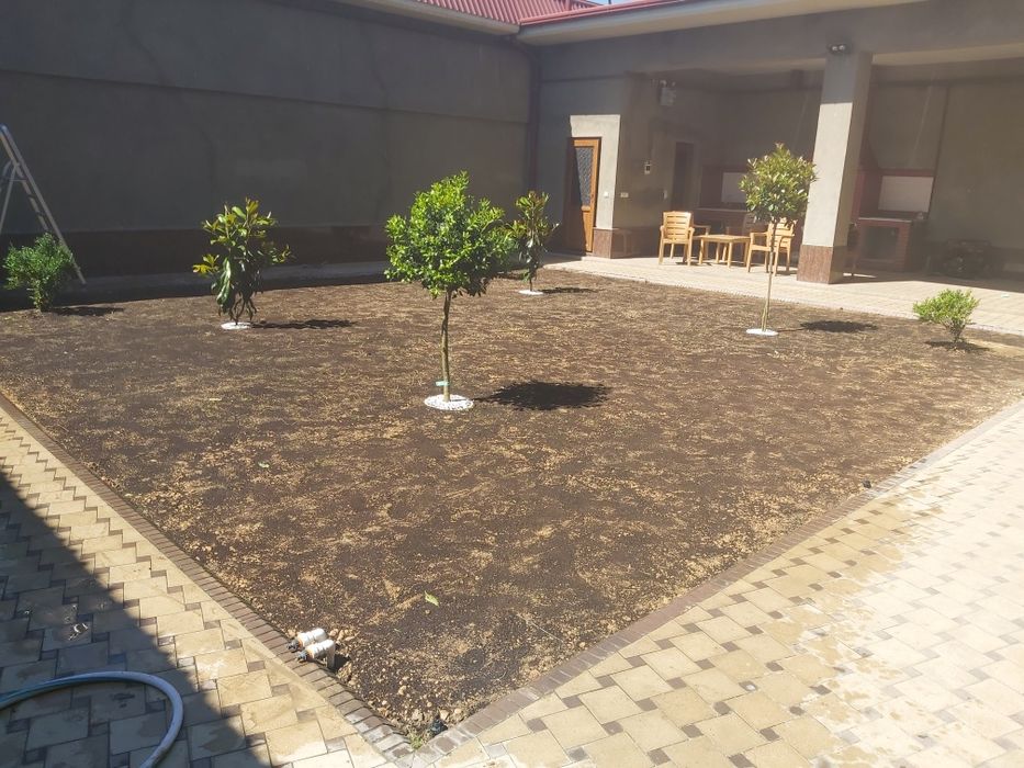 Газон уруглари ва тайёр рулонларини экиш билан шугулланамиз.