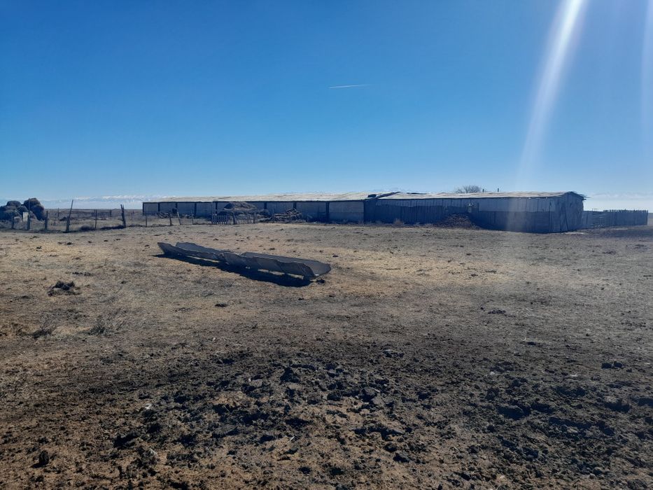 Фазенда сатылады