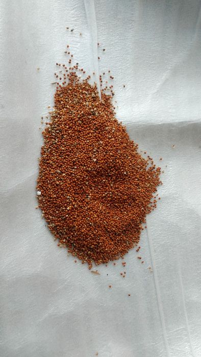 Продам ячмень в мешках по 50кг