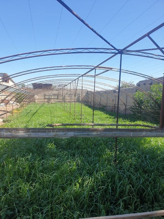 Иссикхона турбалари