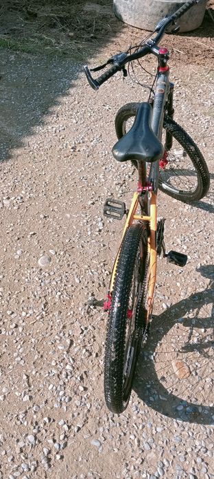 Halik өте жақсы жағдайда