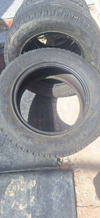 Шины amtel  r16 215/65