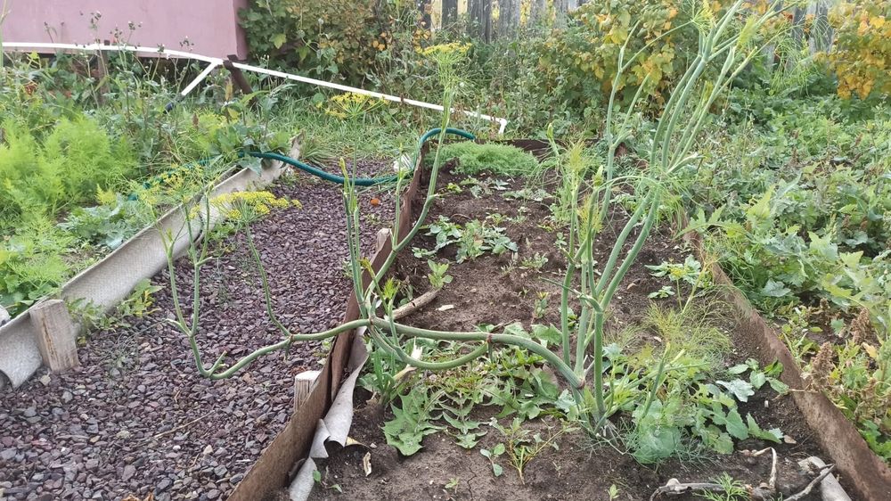 Дача на Фёдоровка