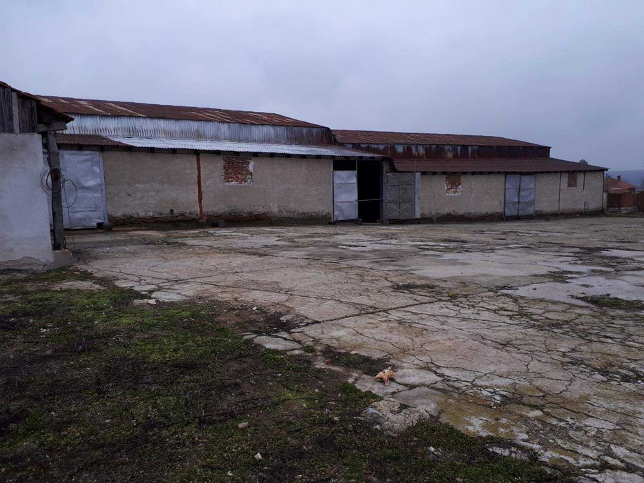 Продава се Склад в с. Воднянци, Област Видин - 25000 кв.м за 4 €/кв.м - Снимка #12