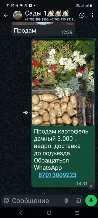 продам дачный картофель доставка до подъезда
