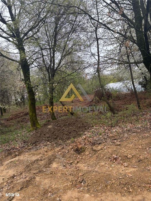 Teren intravilan in spate la Castel Transilvania 1.000mp