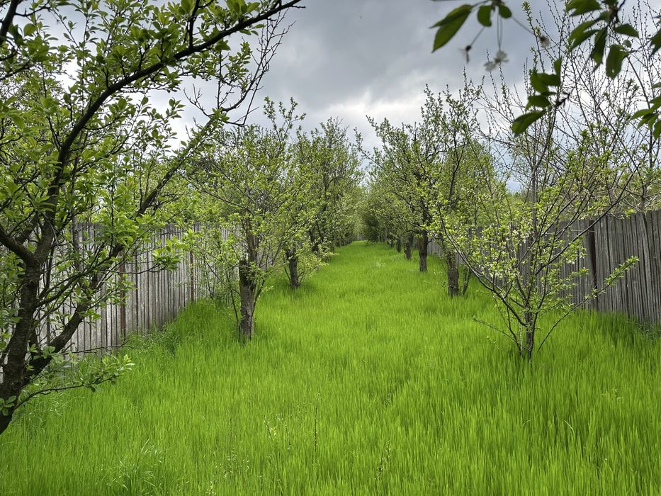Casă de vanzare / Proprietar / Livadă / 1425 mp