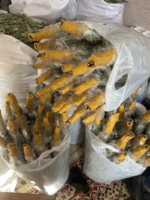 Березовые банные веники